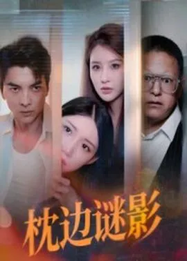 枕边谜影我撞破了妻子的秘密在线观看