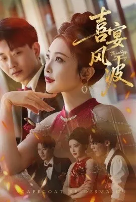 喜宴风波替罪伴娘在线观看