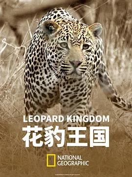 花豹王国在线观看