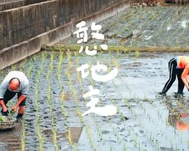 憨地主在线观看