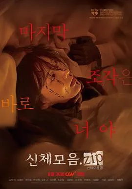 身体集合.zip在线观看