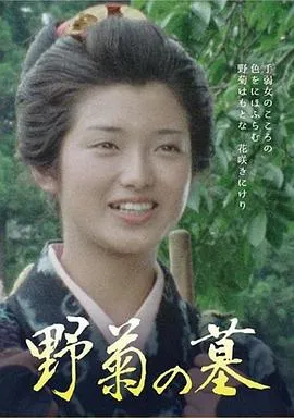 野菊之墓在线观看