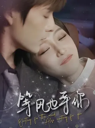 等风也等你在线观看
