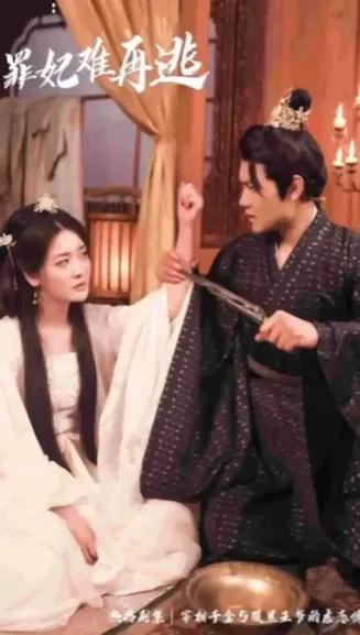 只愿从来不识君罪妃难再逃在线观看