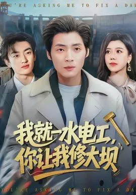 我就一水电工，你让我修大坝在线观看