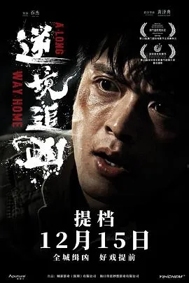 逆境追凶在线观看