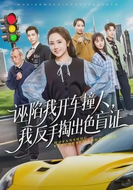 诬陷我开车撞人,我反手掏出色盲证在线观看