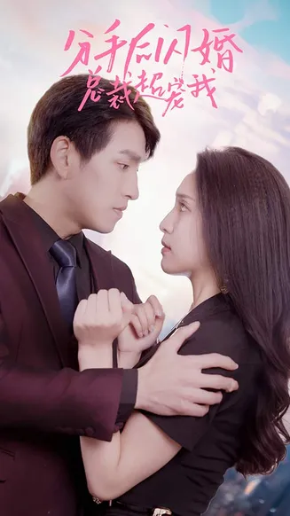 分手后闪婚总裁超宠我在线观看