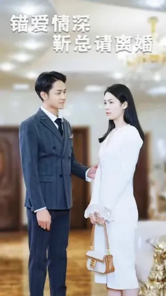 错爱情深,靳总请离婚
