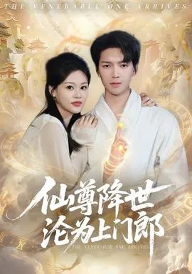 仙尊降世沦为上门郎在线观看