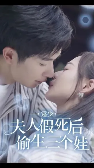 霆少,夫人假死后偷生三个娃