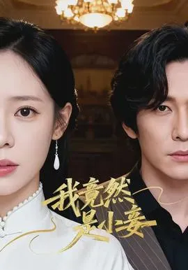 我竟然是小妾在线观看