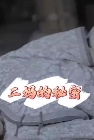 二妈的秘密