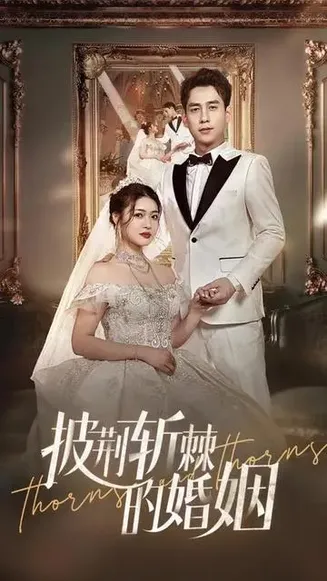 新版：披荆斩棘的婚姻