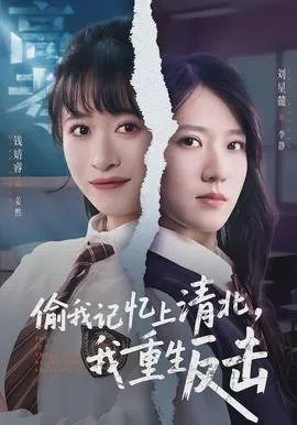 偷我记忆上清北，我重生反击在线观看
