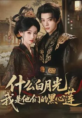 什么白月光，我是他们的黑心莲在线观看