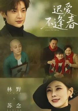 迟爱不逢春在线观看