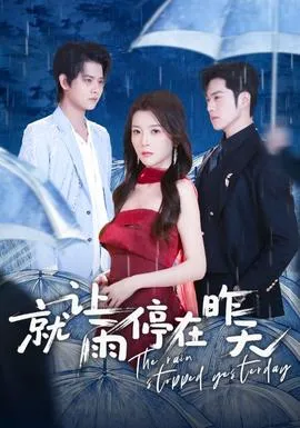 就让雨停在昨天在线观看