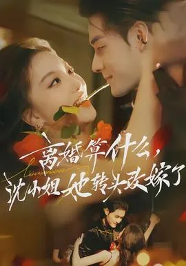 离婚算什么，沈小姐她转头改嫁了在线观看