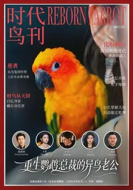 重生鹦鹉：总裁的异鸟老公在线观看