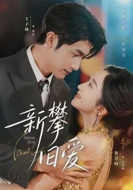 新攀旧爱在线观看
