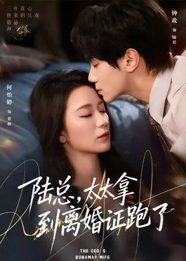 陆总，太太拿到离婚证跑了在线观看