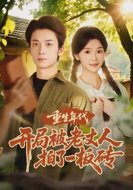 重生年代开局被老丈人拍了一板砖在线观看