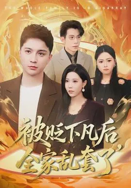 被贬下凡后全家乱套了在线观看