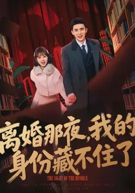 离婚那夜，我的身份藏不住了在线观看