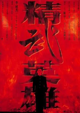 精武英雄【影视解说】
