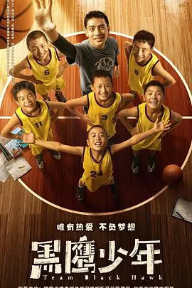 黑鹰少年【影视解说】封面