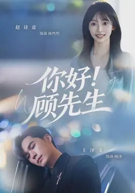 你好!顾先生在线观看
