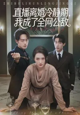 直播离婚冷静期，我成了全网公敌在线观看