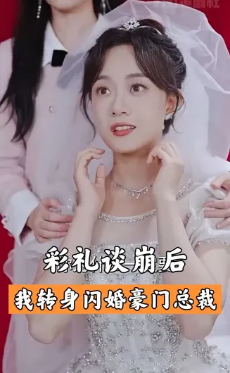 彩礼谈崩后,我闪婚了豪门老公