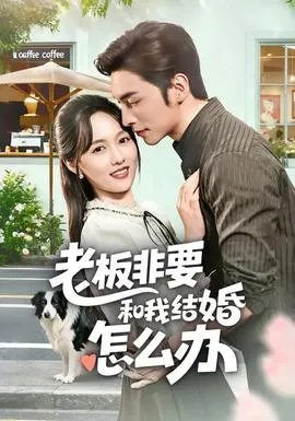老板非要和我结婚怎么办在线观看