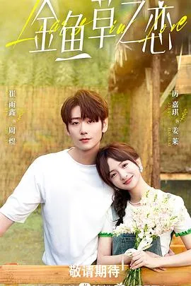 无法抗拒的谎言在线观看