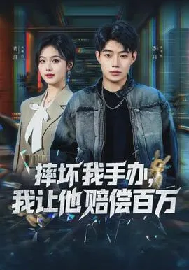摔坏我手办，我让他赔偿百万在线观看