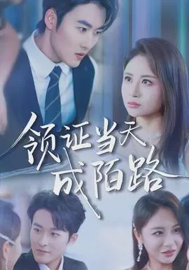 领证当天成陌路在线观看