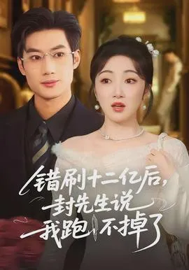 错刷十二亿后，封先生说我跑不掉了在线观看