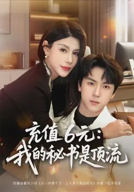 充值6元：我的秘书是顶流在线观看