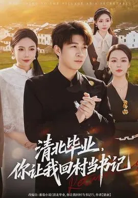 清北毕业，你让我回村当书记在线观看