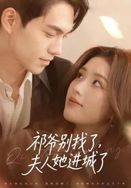 祁爷别找了，夫人她进城了在线观看