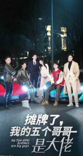 摊牌了我的五个哥哥是大佬