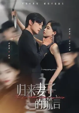 归来妻子的谎言在线观看