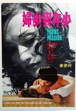 少年与少妇