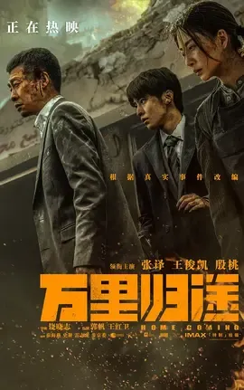 万里归途【影视解说】