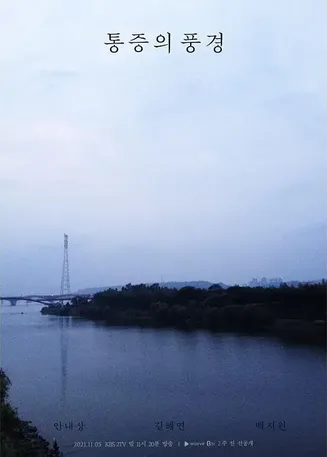 疼痛的风景【影视解说】