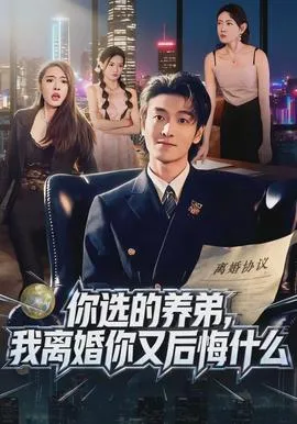 你选的养弟，我离婚你又后悔什么在线观看