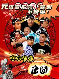 追梦青年之唐囧在线观看