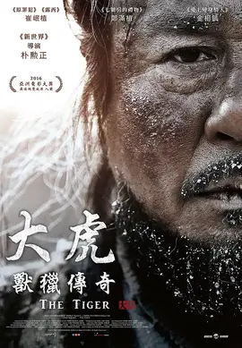 大虎【影视解说】封面